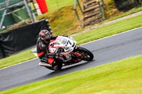 PJ-Motorsport-Photography-2020;anglesey;brands-hatch;cadwell-park;croft;donington-park;enduro-digital-images;event-digital-images;eventdigitalimages;mallory;no-limits;oulton-park;peter-wileman-photography;racing-digital-images;silverstone;snetterton;trackday-digital-images;trackday-photos;vmcc-banbury-run;welsh-2-day-enduro